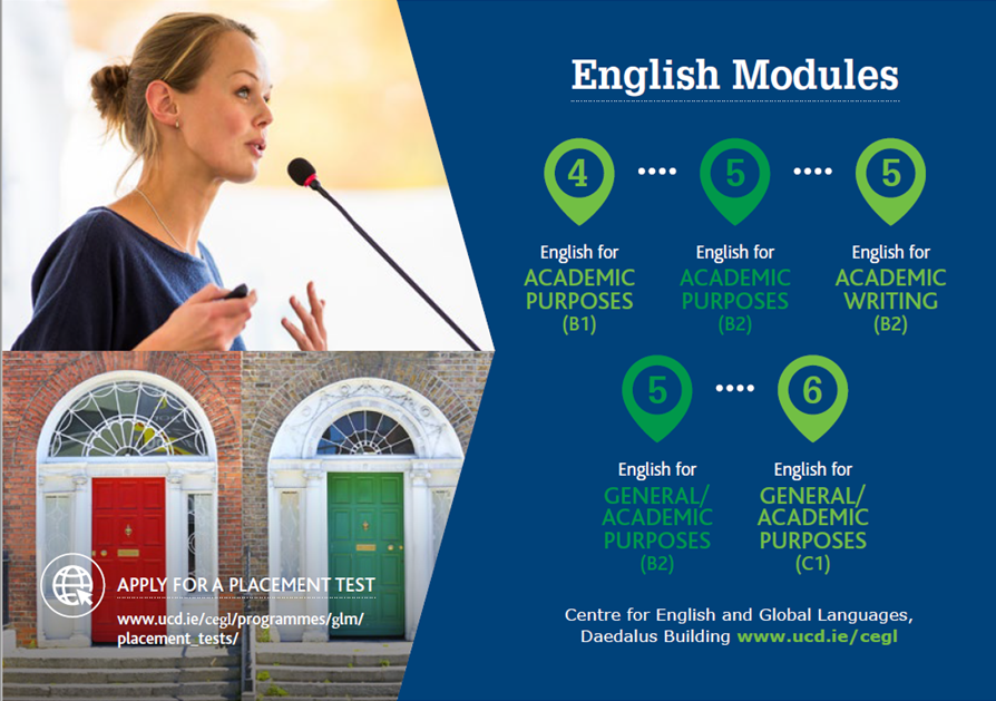 Leaflet advertising English Modules with image of woman speaking and Georgian Dublin doors